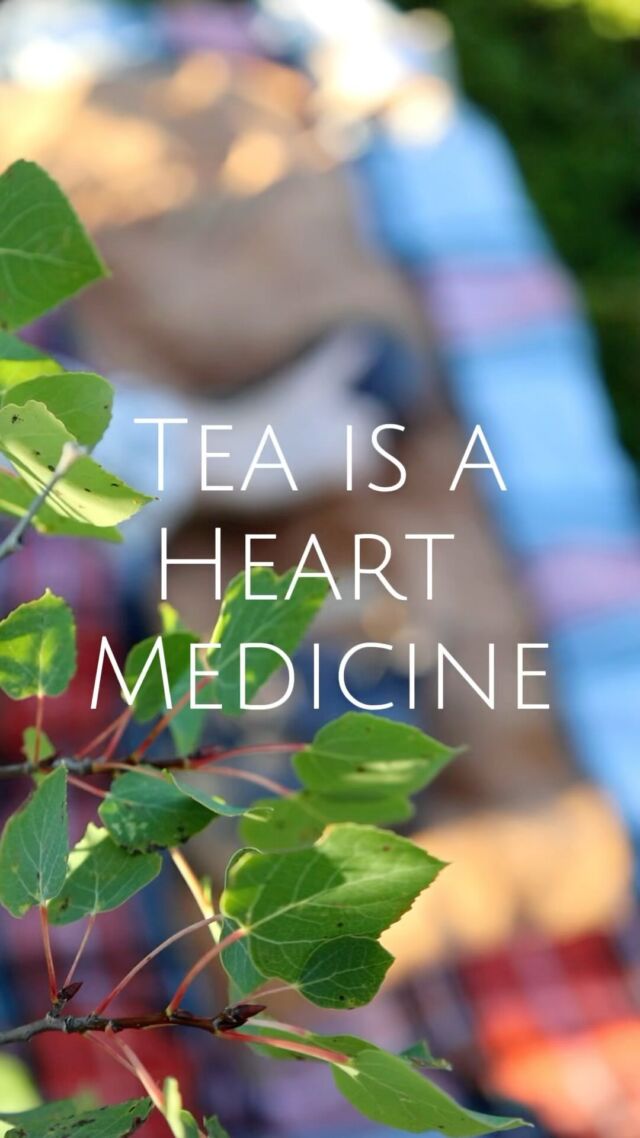 Heart medicine plants open up the channels of communication between our spirit and the divine universe.  💗💫🌍  “You’re visions will become clear only when you can look into your own heart.”  - Carl Jung  A daily tea practice has the greatest ability for transforming the capacity of our hearts by opening the channels of communication with  ~the universe✨
~plant spirits 🍵
-animal spirits🐻
~the trees🌳
~community👐
~the cosmos🪐
~spiritual guides🪬
~the earth🌍
~our ancestors👁️
~ourselves💓  Teaching us that we are all one. 
There is no separation.  #thewayoftea #plantspiritmedicine #heartcentered #teaceremony #livingtea #puerhtea